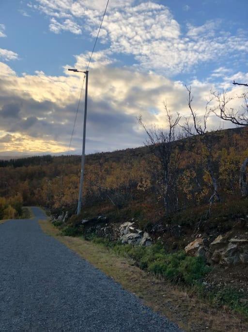 3 Roms Til Leie * Tromso